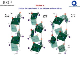 Hélice α
Padrão de Ligações de H em hélices polipeptídicas
Passo
6,0 Å
Passo
5,4 Å
Passo
5,2 Å
 