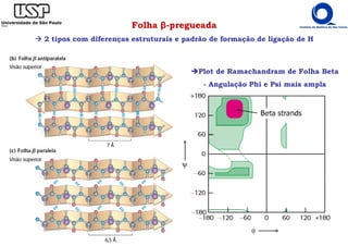 Folha β-pregueada
2 tipos com diferenças estruturais e padrão de formação de ligação de H
Plot de Ramachandram de Folha Beta
- Angulação Phi e Psi mais ampla
 