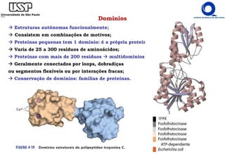 Domínios
Estruturas autônomas funcionalmente;
Consistem em combinações de motivos;
Proteínas pequenas tem 1 domínio: é a própria proteína
Varia de 25 a 300 resíduos de aminoácidos;
Proteínas com mais de 200 resíduos multidomínios
Geralmente conectados por loops, dobradiças
ou segmentos flexíveis ou por interações fracas;
Conservação de domínios: famílias de proteínas.
 