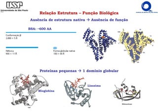 Relação Estrutura – Função Biológica
Ausência de estrutura nativa Ausência de função
BSA: ~600 AA
Lisozima
Mioglobina
Proteínas pequenas 1 domínio globular
 