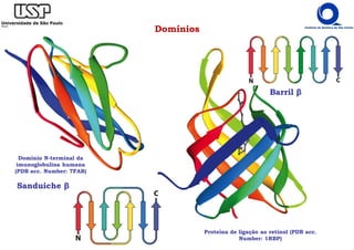 Domínios
Domínio N-terminal da
imunoglobulina humana
(PDB acc. Number: 7FAB)
Proteína de ligação ao retinol (PDB acc.
Number: 1RBP)
Sanduíche β
Barril β
 