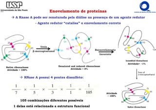 Enovelamento de proteínas
A Rnase A pode ser renaturada pela diálise na presença de um agente redutor
- Agente redutor “catalisa” o enovelamento correto
Reenovelamento
Incorreto
Native ribonuclease
Atividade = 100%
Denatured and reduced ribonuclease
Atividade = 0%
Atividade= ~1%
Atividade
~ 100%
Ureia
β-mercaptoetanol
RNase A possui 4 pontes dissulfeto:
105 combinações diferentes possíveis
1 delas está relacionada a estrutura funcional
 