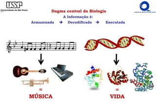 =
MÚSICA
=
VIDA
Dogma central da Biologia
A Informação é:
Armazenada Decodificada Executada
 
