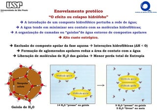 Enovelamento protéico
“O efeito ou colapso hidrófobo”
A introdução de um composto hidrofóbico perturba a rede de água;
A água tende em minimizar seu contato com as moléculas hidrofóbicas;
A organização de camadas ou “gaiolas”de água entorno de compostos apolares
Alto custo entrópico.
Exclusão do composto apolar da fase aquosa Interações hidrofóbicas (∆H < 0)
Formação de aglomerados apolares reduz a área de contato com a água
Liberação de moléculas de H20 das gaiolas Menor perda total de Entropia
Gaiola de H20
9 H20 “presas” na gaiola
5 H20 “livres” no meio
14 H20 “presas” na gaiola
 