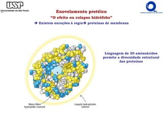Enovelamento protéico
“O efeito ou colapso hidrófobo”
Existem exceções à regra proteínas de membrana
Linguagem de 20 aminoácidos
permite a diversidade estrutural
das proteínas
 