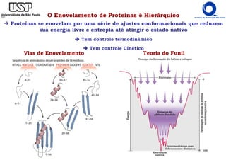 Vias de Enovelamento
O Enovelamento de Proteínas é Hierárquico
Proteínas se enovelam por uma série de ajustes conformacionais que reduzem
sua energia livre e entropia até atingir o estado nativo
Tem controle termodinâmico
Tem controle Cinético
Teoria do Funil
 