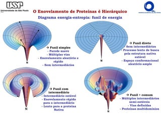 O Enovelamento de Proteínas é Hierárquico
Diagrama energia-entropia: funil de energia
Funil simples
- Parede suave
- Múltiplas vias
- Enovelamento aleatório e
rápido
- Sem intermediários
Funil direto
- Sem intermediários
- Processo lento de busca
pela estrutura nativa
estável
- Espaço conformacional
aleatório amplo
Funil + comum
- Múltiplos intermediários
semi-estáveis
- Vias definidas
- Proteínas multidomínios
Funil com
intermediário
- Intermediário estável
- Enovelamento rápido
para o intermediário
- Lento para a proteína
Nativa
 