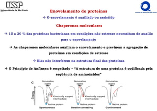 Enovelamento de proteínas
O enovelamento é auxiliado ou assistido
Chaperonas moleculares
15 a 20 % das proteínas bacterianas em condições não estresse necessitam de auxílio
para o enovelamento
As chaperones moleculares auxiliam o enovelamento e previnem a agregação de
proteínas em condições de estresse
Elas não interferem na estrutura final das proteínas
O Princípio de Anfinsen é respeitado – “A estrutura de uma proteína é codificada pela
seqüência de aminoácidos”
 