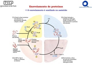 Enovelamento de proteínas
O enovelamento é auxiliado ou assistido
 