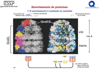 Enovelamento de proteínas
O enovelamento é auxiliado ou assistido
 