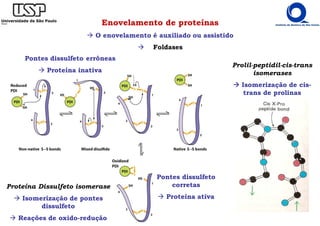 Enovelamento de proteínas
O enovelamento é auxiliado ou assistido
Foldases
Prolil-peptidil-cis-trans
isomerases
Isomerização de cis-
trans de prolinas
Proteína Dissulfeto isomerase
Isomerização de pontes
dissulfeto
Reações de oxido-redução
Pontes dissulfeto errôneas
Proteína inativa
Pontes dissulfeto
corretas
Proteína ativa
 