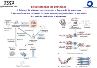 Enovelamento de proteínas
Balanço de síntese, enovelamento e depuração de proteínas
O enovelamento incorreto causa doenças degenerativas e amiloides
Ex: mal de Parkinson e Alzheimer
 