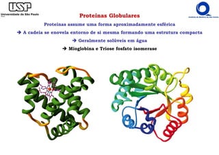 Proteínas Globulares
Proteínas assume uma forma aproximadamente esférica
A cadeia se enovela entorno de si mesma formando uma estrutura compacta
Geralmente solúveis em água
Mioglobina e Triose fosfato isomerase
 