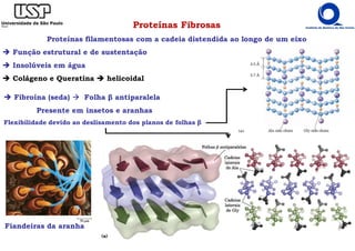 Proteínas Fibrosas
Proteínas filamentosas com a cadeia distendida ao longo de um eixo
Função estrutural e de sustentação
Insolúveis em água
Colágeno e Queratina helicoidal
Fibroína (seda) Folha β antiparalela
Presente em insetos e aranhas
Flexibilidade devido ao deslisamento dos planos de folhas β
Fiandeiras da aranha
 