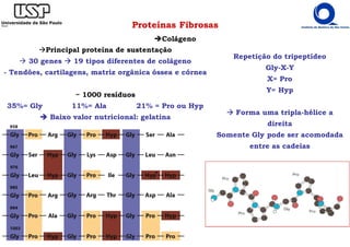 Proteínas Fibrosas
Colágeno
Principal proteína de sustentação
30 genes 19 tipos diferentes de colágeno
- Tendões, cartilagens, matriz orgânica óssea e córnea
~ 1000 resíduos
35%= Gly 11%= Ala 21% = Pro ou Hyp
Baixo valor nutricional: gelatina
Repetição do tripeptídeo
Gly-X-Y
X= Pro
Y= Hyp
Forma uma tripla-hélice a
direita
Somente Gly pode ser acomodada
entre as cadeias
 
