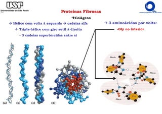 Proteínas Fibrosas
Colágeno
Hélice com volta à esquerda cadeias alfa
Tripla-hélice com giro sutil à direita
- 3 cadeias supertorcidas entre si
3 aminoácidos por volta:
-Gly no interior
 