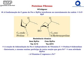 Proteínas Fibrosas
Colágeno
A Conformação do C gama da Pro e HyPro interferem no enovelamento da cadeia G-P-
HyP
Resistência térmica
Sem HyPro Com HyPro
Tm 41oC Tm 69oC
A reação de hidroxilação da Pro é independente de Vitamina C Prolina-4-hidroxilase
- Entretanto, a mesma enzima participa de outra reação que gera Fe3+ sem atividade
HyPro
- A Vitamina C regenera o Fe2+
 