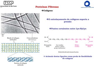 Proteínas Fibrosas
Colágeno
O entrelaçamento do colágeno suporta a
pressão
Pontes covalentes entre Lys-HyLys
Acúmulo destas ligações causa perda de flexibilidade
do colágeno
 