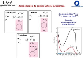 Fenilalanina
Phe
F
Tirosina
Tyr
Y
Aminoácidos de cadeia Lateral Aromática
Os Aminoácidos Trp e
Tyr absorvem luz UV
Permite
monitoramento e
quantificação
Triptofano
Trp
W
 