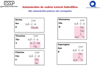 Serina
Ser
S
Treonina
Thr
T
Asparagina
Asn
N
Glutamina
Gln
Q
Cisteína
Cys
C
Aminoácidos de cadeia Lateral hidrofílica
São aminoácidos polares não carregados
 