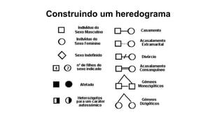 Construindo um heredograma
 