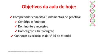 Objetivos da aula de hoje:
✔ Compreender conceitos fundamentais de genética:
✔ Genótipo e fenótipo
✔ Dominante e recessivo
✔ Homozigoto e heterozigoto
✔ Conhecer os princípios da 1ª lei de Mendel
https://static.wixstatic.com/media/4d4761_9634e7f73d4a44fdad8cc7f14b51f77b~mv2.gif
 