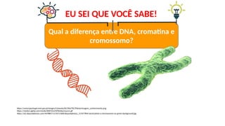 https://unescoportugal.mne.gov.pt/images/Comunica%C3%A7%C3%A3o/imagem_conhecimento.png
https://media1.giphy.com/media/lklIkTUnsYSPIknXoj/source.gif
https://st2.depositphotos.com/4478807/11767/i/600/depositphotos_117677844-stock-photo-x-chromosome-on-green-background.jpg
Qual a diferença entre DNA, cromatina e
cromossomo?
EU SEI QUE VOCÊ SABE!
 