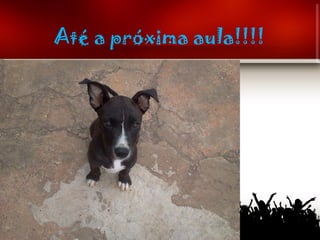 Até a próxima aula!!!!
 