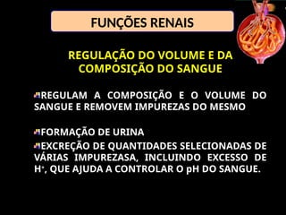 FUNÇÕES RENAIS
REGULAÇÃO DO VOLUME E DA
COMPOSIÇÃO DO SANGUE
REGULAM A COMPOSIÇÃO E O VOLUME DO
SANGUE E REMOVEM IMPUREZAS DO MESMO
FORMAÇÃO DE URINA
EXCREÇÃO DE QUANTIDADES SELECIONADAS DE
VÁRIAS IMPUREZASA, INCLUINDO EXCESSO DE
H+
, QUE AJUDA A CONTROLAR O pH DO SANGUE.
 