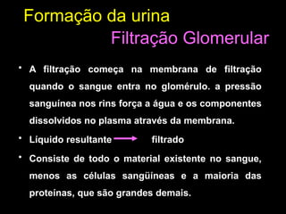 Formação da urina
• A filtração começa na membrana de filtração
quando o sangue entra no glomérulo. a pressão
sanguínea nos rins força a água e os componentes
dissolvidos no plasma através da membrana.
• Líquido resultante filtrado
• Consiste de todo o material existente no sangue,
menos as células sangüíneas e a maioria das
proteínas, que são grandes demais.
Filtração Glomerular
 
