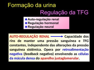 Formação da urina
Regulação da TFG
☻Auto-regulação renal
☻Regulação hormonal
☻Regulação neural
AUTO-REGULAÇÃO RENAL Capacidade dos
rins de manter uma pressão sanguínea e TFG
constantes, independente das alterações da pressão
sanguínea sistêmica. Opera por retroalimentação
negativa (feedback negativo) envolvendo as células
da mácula densa do aparelho justaglomerular.
 