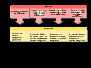 Efetores
Arteríolas eferentes
se contraem
Córtex supra-renal
secreta mais
aldosterona
Aumento da
pressão
hidrostática
glomerular
A retenção do Na+
,
Cl-
e água pelos rins
leva ao aumento do
volume sangüíneo
O aumento na
ingestão de água
aumenta o volume
sangüíneo
A retenção de água
pelos rins leva ao
aumento do
volume sangüíneo
Respostas
A neuro-hipófise
libera mais ADH
(hormônio
antidiurético)
O centro da sede do
hipotálamo sinaliza
sede aumentada
 
