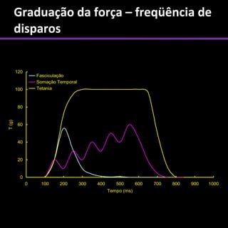 Graduação da força – freqüência de
        disparos


        120
                  Fasciculação
                  Somação Temporal
        100       Tetania



        80
T (g)




        60


        40


        20


         0
              0    100     200       300   400      500       600   700   800   900   1000
                                                 Tempo (ms)
 