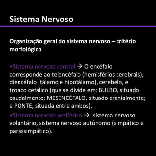Sistema Nervoso

Organização geral do sistema nervoso – critério
morfológico

•Sistema nervoso central  O encéfalo
corresponde ao telencéfalo (hemisférios cerebrais),
diencéfalo (tálamo e hipotálamo), cerebelo, e
tronco cefálico (que se divide em: BULBO, situado
caudalmente; MESENCÉFALO, situado cranialmente;
e PONTE, situada entre ambos).
•Sistema nervoso periférico  sistema nervoso
voluntário, sistema nervoso autônomo (simpático e
parassimpático).
 