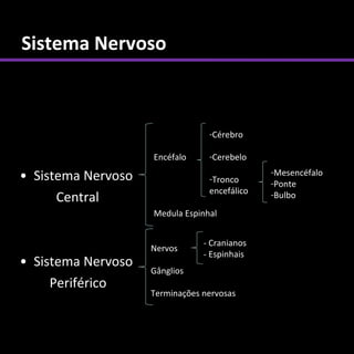 Sistema Nervoso



                                 -Cérebro

                    Encéfalo     -Cerebelo
                                              -Mesencéfalo
• Sistema Nervoso                -Tronco      -Ponte
                                 encefálico
      Central                                 -Bulbo
                    Medula Espinhal


                                - Cranianos
                    Nervos
                                - Espinhais
• Sistema Nervoso
                    Gânglios
     Periférico
                    Terminações nervosas
 