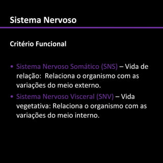 Sistema Nervoso

Critério Funcional

• Sistema Nervoso Somático (SNS) – Vida de
  relação: Relaciona o organismo com as
  variações do meio externo.
• Sistema Nervoso Visceral (SNV) – Vida
  vegetativa: Relaciona o organismo com as
  variações do meio interno.
 
