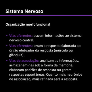 Sistema Nervoso

Organização morfofuncional

• Vias aferentes: trazem informações ao sistema
  nervoso central.
• Vias eferentes: levam a resposta elaborada ao
  órgão efetuador da resposta (músculo ou
  glândula).
• Vias de associação: analisam as informações,
  armazenam-nas sob a forma de memória,
  elaboram padrões de resposta ou geram
  respostas espontâneas. Quanto mais neurônios
  de associação, mais refinada será a resposta.
 