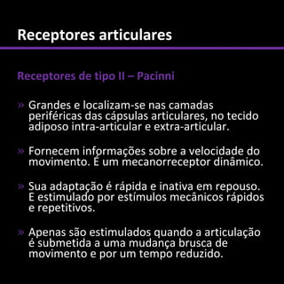 Receptores articulares

Receptores de tipo II – Pacinni

» Grandes e localizam-se nas camadas
  periféricas das cápsulas articulares, no tecido
  adiposo intra-articular e extra-articular.
» Fornecem informações sobre a velocidade do
  movimento. É um mecanorreceptor dinâmico.
» Sua adaptação é rápida e inativa em repouso.
  E estimulado por estímulos mecânicos rápidos
  e repetitivos.
» Apenas são estimulados quando a articulação
  é submetida a uma mudança brusca de
  movimento e por um tempo reduzido.
 