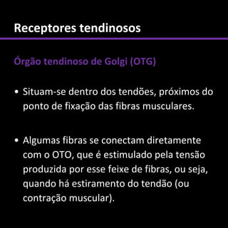 Receptores tendinosos

Órgão tendinoso de Golgi (OTG)

• Situam-se dentro dos tendões, próximos do
  ponto de fixação das fibras musculares.


• Algumas fibras se conectam diretamente
  com o OTO, que é estimulado pela tensão
  produzida por esse feixe de fibras, ou seja,
  quando há estiramento do tendão (ou
  contração muscular).
 