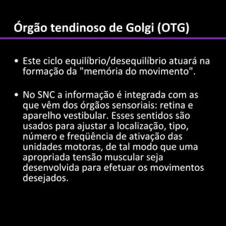 Órgão tendinoso de Golgi (OTG)

• Este ciclo equilíbrio/desequilíbrio atuará na
  formação da "memória do movimento".

• No SNC a informação é integrada com as
  que vêm dos órgãos sensoriais: retina e
  aparelho vestibular. Esses sentidos são
  usados para ajustar a localização, tipo,
  número e freqüência de ativação das
  unidades motoras, de tal modo que uma
  apropriada tensão muscular seja
  desenvolvida para efetuar os movimentos
  desejados.
 