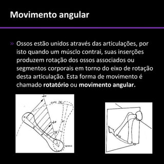 Movimento angular

» Ossos estão unidos através das articulações, por
  isto quando um músclo contrai, suas inserções
  produzem rotação dos ossos associados ou
  segmentos corporais em torno do eixo de rotação
  desta articulação. Esta forma de movimento é
  chamado rotatório ou movimento angular.
 