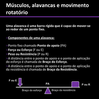 Músculos, alavancas e movimento
rotatório

Uma alavanca é uma barra rígida que é capaz de mover-se
ao redor de um ponto fixo.

»Componentes de uma alavanca:

»Ponto fixo chamado Ponto de apoio (PA)
»Força ou Esforço (F ou E)
»Peso ou Resistência (P ou R)
»A distância entre o ponto de apoio e o ponto de aplicação
do esforço é chamada de Braço do Esforço.
»A distância entre o ponto de apoio e o ponto de aplicação
da resistência é chamada de Braço da Resistência.


 F ou E
                              PA                          P ou R

           Braço do esforço        Braço da resistência
 