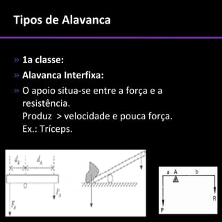 Tipos de Alavanca

» 1a classe:
» Alavanca Interfixa:
» O apoio situa-se entre a força e a
  resistência.
  Produz > velocidade e pouca força.
  Ex.: Tríceps.
 