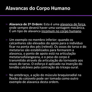 Alavancas do Corpo Humano

» Alavanca de 2ª Ordem: Esta é uma alavanca de força,
  onde sempre deverá haver uma vantagem mecânica.
  É um tipo de alavanca incomum no corpo humano.

» Um exemplo no membro inferior: quando os
  calcanhares são elevados do apoio para o indivíduo
  ficar na ponta dos pés (relevé). Os ossos do tarso e do
  metatarso são estabilizados para formarem a
  alavanca, o ponto de apoio está na articulação
  metatarsofalangeana, e o peso do corpo é
  transmitido através da articulação do tornozelo aos
  ossos do tarso. O esforço é aplicado na inserção do
  tendão calcâneo pela contração do tríceps-sural.

» No antebraço, a ação do músculo braquioradial na
  flexão do cotovelo pode ser tomada como outro
  exemplo de alavanca desta ordem.
 