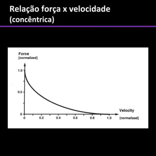 Relação força x velocidade
(concêntrica)
 