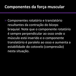 Componentes da força muscular

» Componentes rotatório e translatório
  resultantes da contração do bíceps
  braquial. Note que o componente rotatório
  é sempre perpendicular ao osso onde o
  músculo está inserido e o componente
  translatório é paralelo ao osso e aumenta a
  estabilidade do cotovelo (compressão)
  nesta situação.
 