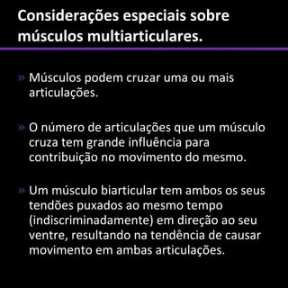 Considerações especiais sobre
músculos multiarticulares.

» Músculos podem cruzar uma ou mais
  articulações.

» O número de articulações que um músculo
  cruza tem grande influência para
  contribuição no movimento do mesmo.

» Um músculo biarticular tem ambos os seus
  tendões puxados ao mesmo tempo
  (indiscriminadamente) em direção ao seu
  ventre, resultando na tendência de causar
  movimento em ambas articulações.
 