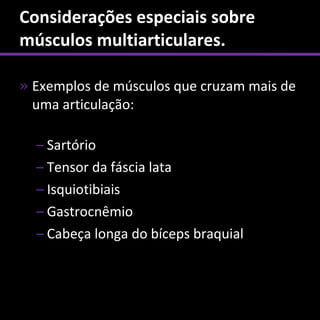 Considerações especiais sobre
músculos multiarticulares.

» Exemplos de músculos que cruzam mais de
  uma articulação:

  – Sartório
  – Tensor da fáscia lata
  – Isquiotibiais
  – Gastrocnêmio
  – Cabeça longa do bíceps braquial
 