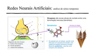 Redes Neurais Artificiais: análise de séries temporais
Sinapses são zonas ativas de contato entre uma
terminação nervosa (dendritos).
Serotonina
✓ Ao passear por um parque, quando você
olha para um quiosque de sorvete, uma
cadeia de reações químicas é iniciada
liberando serotonina, o que faz você
comprar uma casquinha.
Hormônio do desejo
 