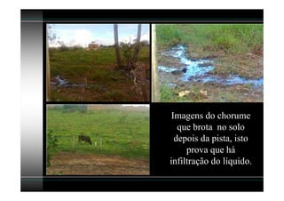 Imagens do chorume
   que brota no solo
  depois da pista, isto
     prova que há
infiltração do líquido.
 